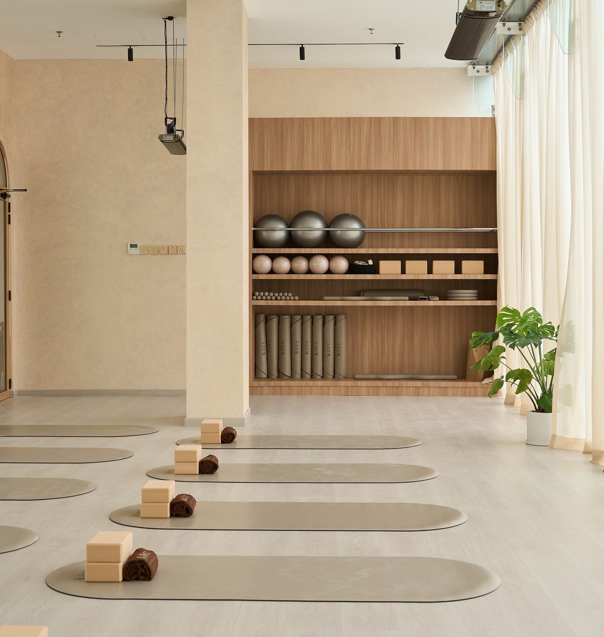 High-end Pilates studio with mats, equipment and monstera plant